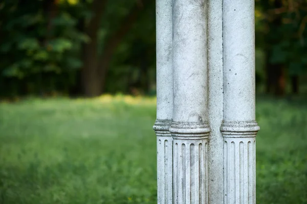 Coluna branca velha no parque, arquitetura retro, árvores e folhas — Fotografia de Stock