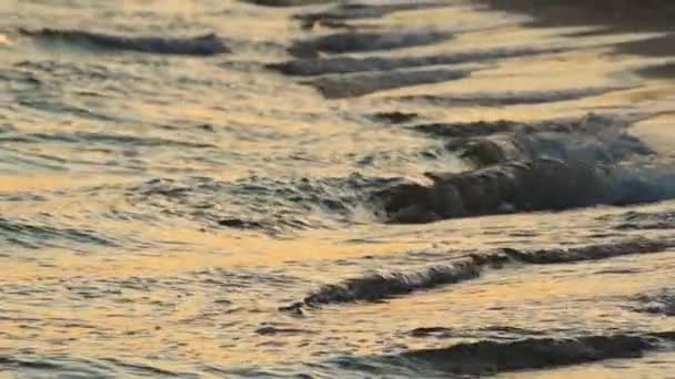 Gün Batımında Deniz Dalgasının Yavaş Hareketi Kum Plaj Yaz Seyahat — Stok video