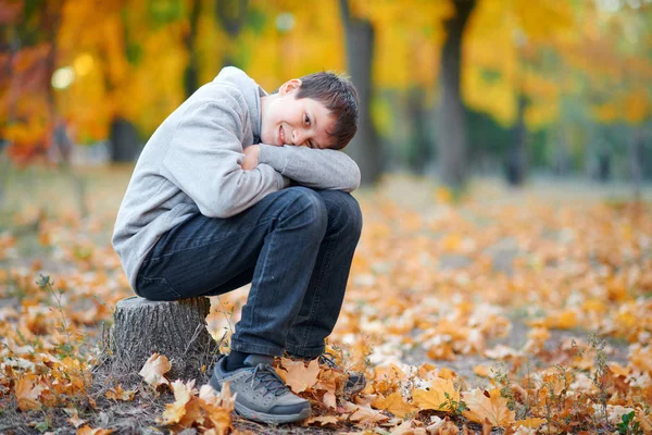 Portrait of boy sitting and dreaming on a stump in autumn city park. Posing on trees with yellow leaves. Bright sunlight and golden trees, fall season. — Stock Photo, Image
