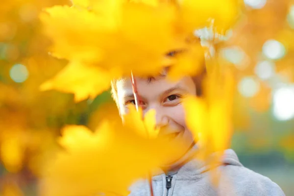 Porträt eines glücklichen Jungen im herbstlichen Stadtpark. versteckt sich hinter gelben Blättern. helles Sonnenlicht und goldene Bäume, Herbstzeit. — Stockfoto