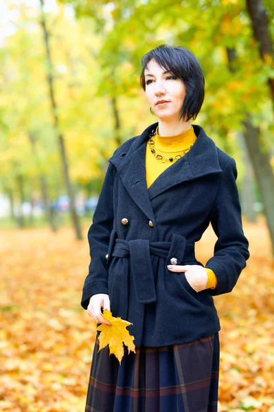 Mulher bonita posando com folhas amarelas no parque da cidade de outono, estação de outono — Fotografia de Stock