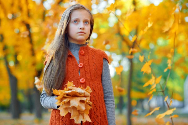 Retrato de menina sonhadora no parque da cidade de outono. Posando com buquê de folhas amarelas. Luz solar brilhante e árvores douradas, estação de outono . — Fotografia de Stock