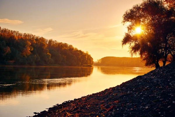 Hermosos árboles en el bosque de otoño cerca del río, luz solar brillante y puesta de sol —  Fotos de Stock