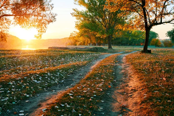 Toprak yol ve sonbahar ormanda, gün batımında gölgeler parlak güneş ışığı güzel ağaçlar — Stok fotoğraf