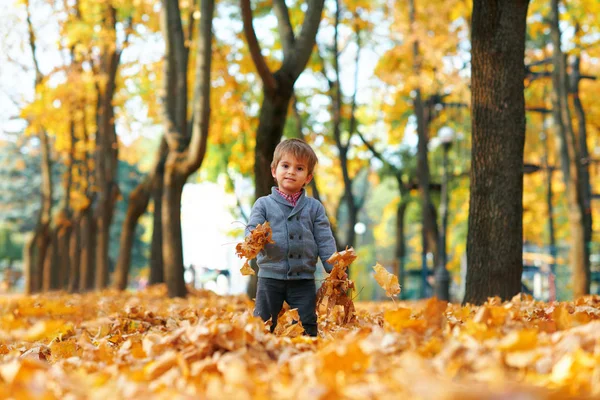 Šťastné děti hrají, pózávají, usmívají se a baví se v podzimním městském parku. Světlé žluté stromy a listy — Stock fotografie