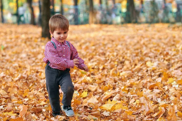 Gelukkig kind spelen, poseren, glimlachen en plezier hebben in het herfst stadspark. Fel gele bomen en bladeren — Stockfoto