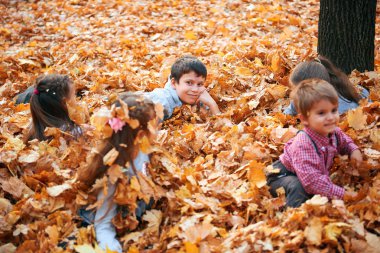 Mutlu çocuk grubu sarı yaprakları nisbete oynarken, poz, gülümsüyor ve sonbahar şehir parkında eğleniyor. Parlak sarı ağaçlar ve yapraklar