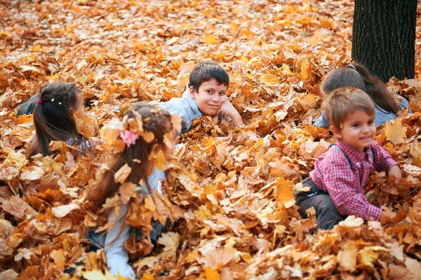 Mutlu çocuk grubu sarı yaprakları nisbete oynarken, poz, gülümsüyor ve sonbahar şehir parkında eğleniyor. Parlak sarı ağaçlar ve yapraklar