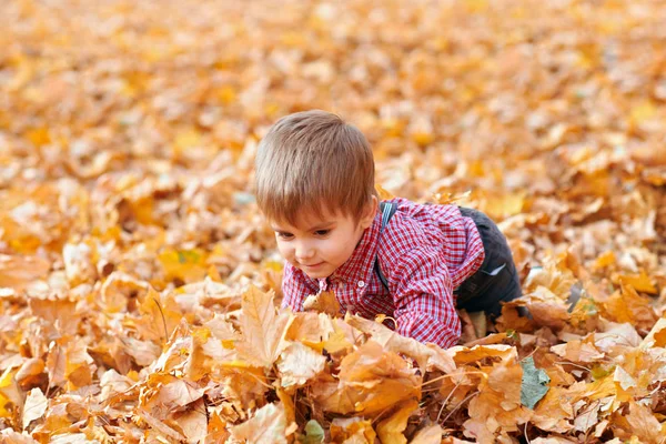 Szczęśliwe dziecko bawiąc się, stwarzając, uśmiechając się i bawiąc się w jesiennym parku miejskim. Jasne żółte drzewa i liście — Zdjęcie stockowe