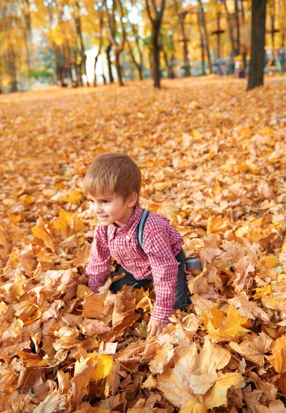 Gelukkig kind spelen, poseren, glimlachen en plezier hebben in het herfst stadspark. Fel gele bomen en bladeren — Stockfoto