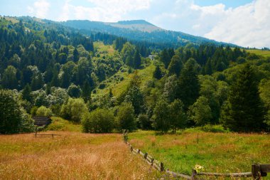Güzel yaz manzara - ladin ile tepelerde kırsal, parlak güneşli bir günde bulutlu gökyüzü. Ahşap evleri olan bir köy. Karpat dağları. Ukrayna. Avrupa. Seyahat arka planı.