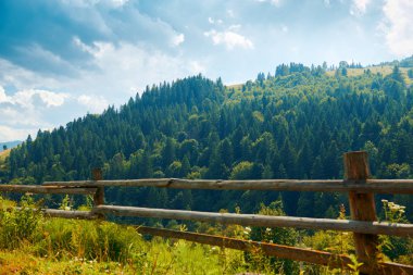 Güzel yaz manzara - ladin ile tepelerde kırsal, parlak güneşli bir günde bulutlu gökyüzü. Ahşap evleri olan bir köy. Karpat dağları. Ukrayna. Avrupa. Seyahat arka planı.
