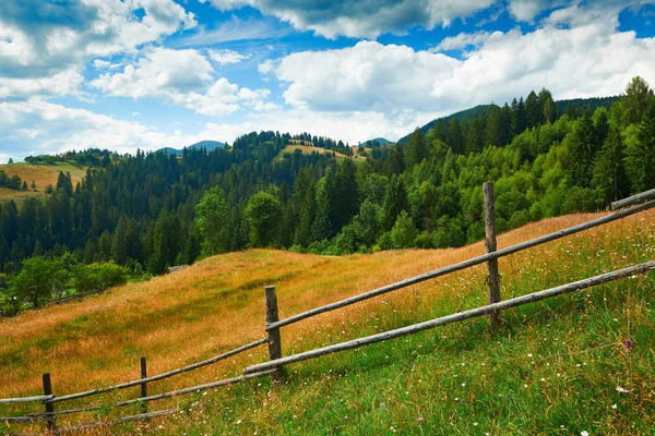 stock image Spruces on hills - beautiful summer landscape, cloudy sky at bright sunny day. Carpathian mountains. Ukraine. Europe. Travel background.