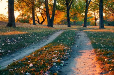 toprak yol ve sonbahar ormanda, gün batımında gölgeler parlak güneş ışığı güzel ağaçlar