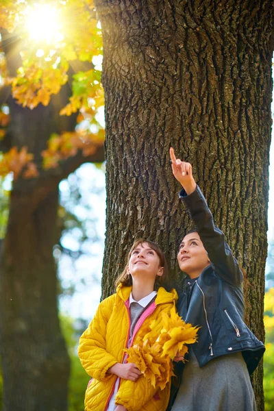 Mulher posando com folhas de outono no parque da cidade, retrato ao ar livre — Fotografia de Stock