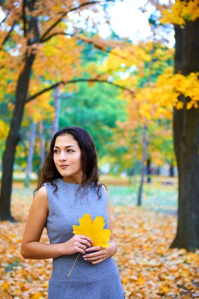 Žena s podzimním listím v městském parku, venkovní portrét — Stock fotografie
