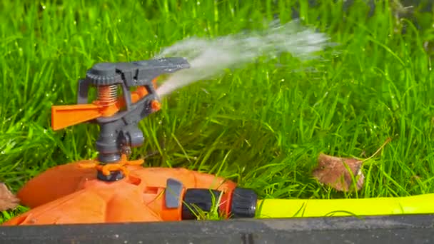 Sprinkler Head Automatic Watering Bush Grass Lawn Spraying Water Green — Stock Video