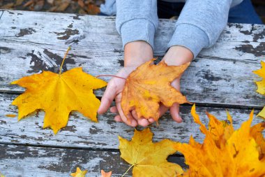 Sonbahar Elleri Ahşap zemin üzerinde Yapraklar