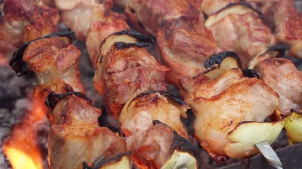 Barbecue Closeup Meat Roasted Fire Pork Marinated Shish Kebab Delicious — Stock Video