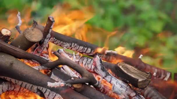 Close View Burning Fire — Stock Video