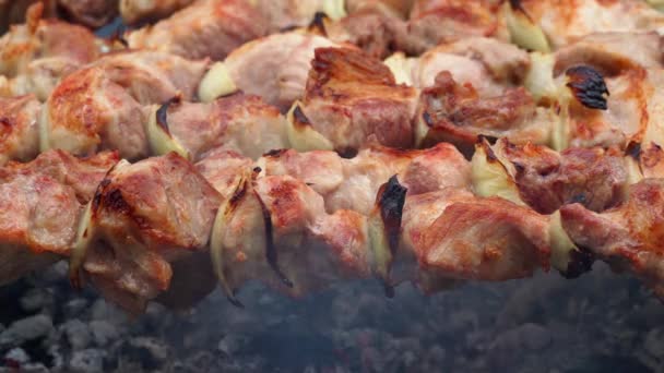 Barbecue Gros Plan Viande Rôtie Sur Feu Porc Est Mariné — Video