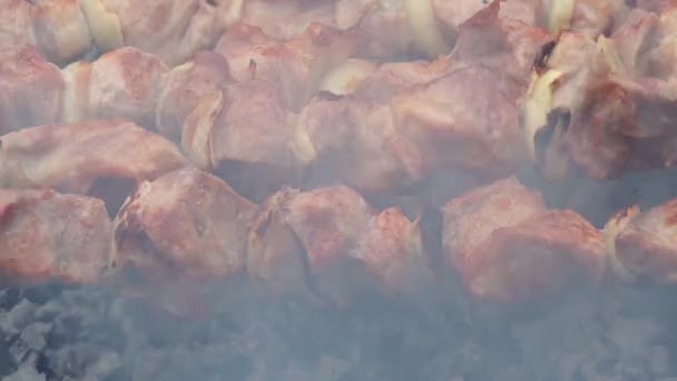 Barbacoa Primer Plano Carne Asada Fuego Cerdo Kebab Shish Marinado — Vídeo de stock