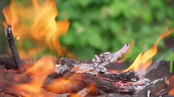 Vista Cercana Fuego Ardiente — Vídeo de stock