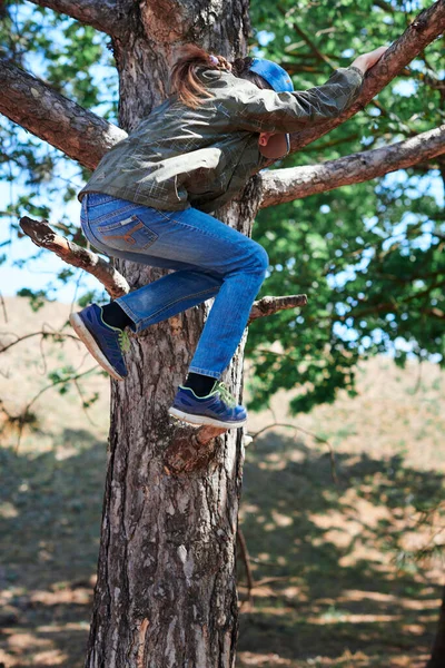 Κορίτσι Που Παίζει Εξωτερικούς Χώρους Αναρρίχηση Ένα Δέντρο Φωτεινό Φως — Φωτογραφία Αρχείου