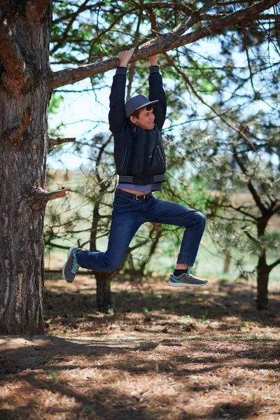 Teenage Αγόρι Παίζει Εξωτερική Αναρρίχηση Ένα Δέντρο Φωτεινό Φως Του — Φωτογραφία Αρχείου