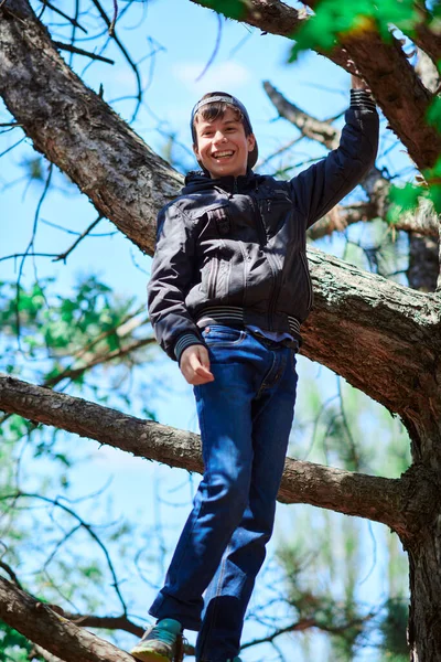 Teenage Boy Playing Outdoor Climbing Tree Bright Sunlight Beautiful Day — Stock fotografie
