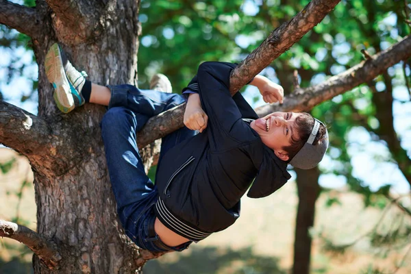 Genç Çocuk Dışarıda Oynuyor Ağaca Tırmanıyor Parlak Güneş Işığı Güzel — Stok fotoğraf