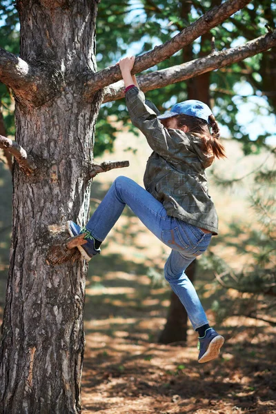 Dívka Hraje Venku Lezení Strom Jasné Sluneční Světlo Krásný Den — Stock fotografie