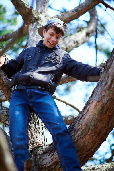 Teenage Boy Playing Outdoor Climbing Tree Bright Sunlight Beautiful Day — Stock fotografie