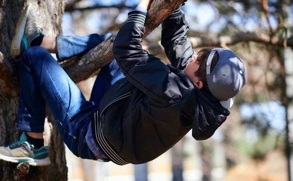 Adolescente Jogando Livre Escalando Uma Árvore Luz Solar Brilhante Belo — Fotografia de Stock