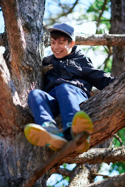 Teenage Boy Playing Outdoor Climbing Tree Bright Sunlight Beautiful Day — Stock fotografie