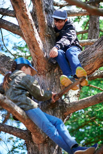 Dziewczyna Chłopiec Bawią Się Świeżym Powietrzu Wspinaczka Drzewo Jasne Światło — Zdjęcie stockowe
