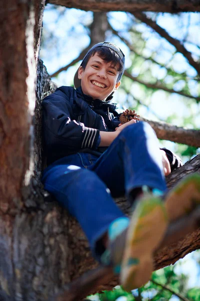 Nastolatek Grać Świeżym Powietrzu Wspinaczka Drzewo Jasne Światło Słoneczne Piękny — Zdjęcie stockowe