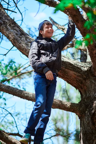Nastolatek Grać Świeżym Powietrzu Wspinaczka Drzewo Jasne Światło Słoneczne Piękny — Zdjęcie stockowe