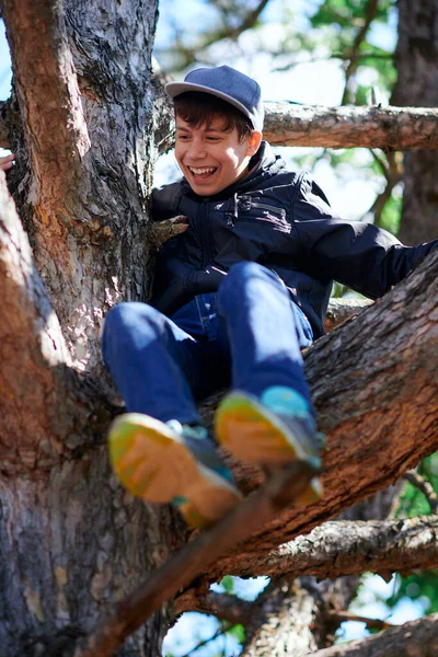 Teenage Boy Playing Outdoor Climbing Tree Bright Sunlight Beautiful Day — Stock fotografie