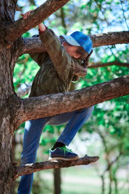 Kız dışarıda oynuyor, ağaca tırmanıyor, parlak güneş ışığı, güzel bir gün.