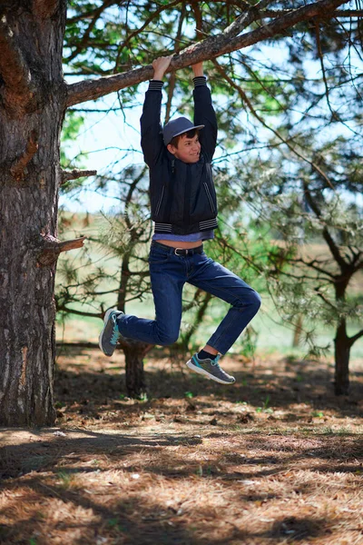 Teenage Boy Playing Outdoor Climbing Tree Bright Sunlight Beautiful Day — Stock Photo, Image