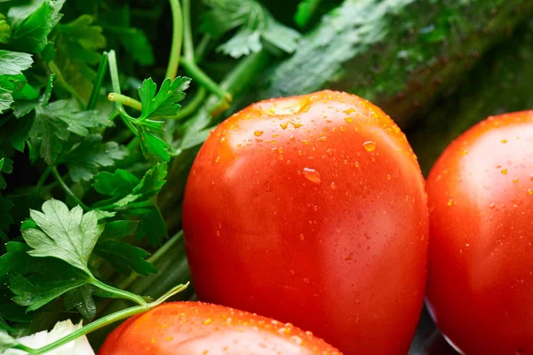 Healthy Food Fresh Vegetables Wooden Background Tomatoes Greens — Stock Photo, Image