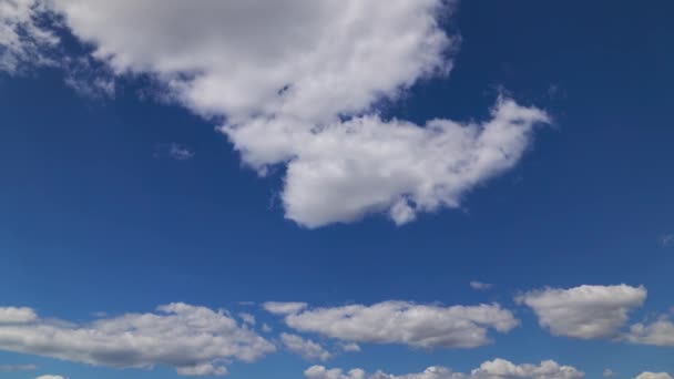 วงเวลาของท องฟ สดใสในช วงกลางว เมฆท สวยงามเป นหล — วีดีโอสต็อก