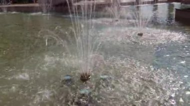 Parlak bir yaz gününde şehir çeşmesinin yakınında, su püskürtüyor.