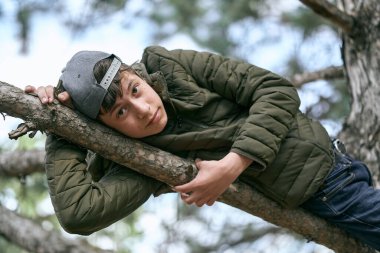Genç çocuk ağaçta poz veriyor, büyük bir dalda yatıyor ve hayal kuruyor.