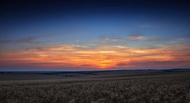 Güzel bir günbatımında buğday tarlası, güneş ışığı ve bulutlar