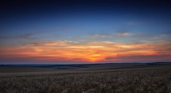 Pšeničné Pole Krásném Západu Slunce Slunečním Svitu Mracích — Stock fotografie