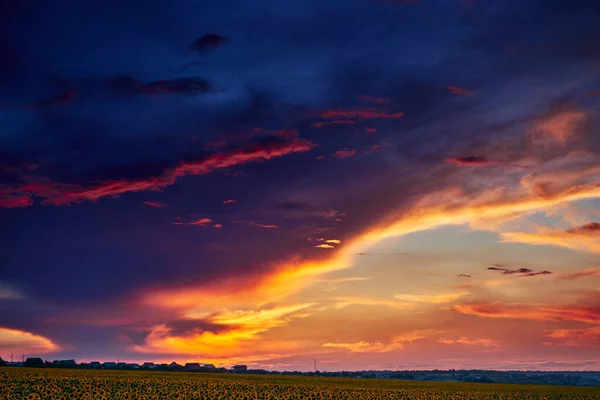 Campo Girasol Una Hermosa Puesta Sol Luz Del Sol Las — Foto de Stock