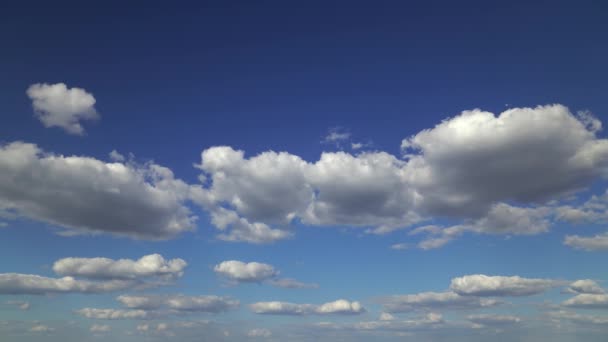 하늘을 배경으로 아름다운 — 비디오