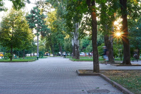 Одеса Україна Серпня 2020 Міський Парк Соборній Площі Зелені Дерева — стокове фото